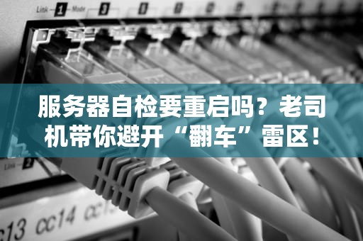 服务器自检要重启吗？老司机带你避开“翻车”雷区！