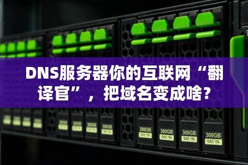 DNS服务器你的互联网“翻译官”，把域名变成啥？