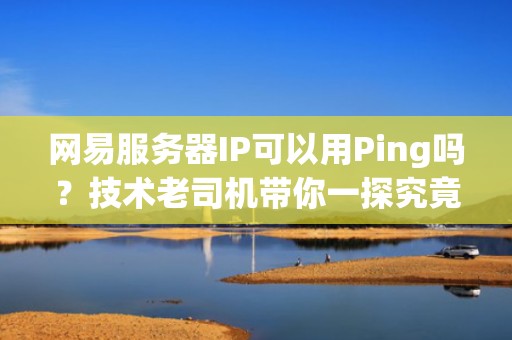 网易服务器IP可以用Ping吗？技术老司机带你一探究竟！