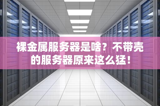 裸金属服务器是啥？不带壳的服务器原来这么猛！