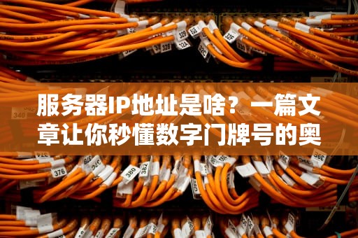 服务器IP地址是啥？一篇文章让你秒懂数字门牌号的奥秘！