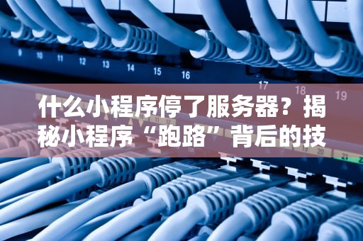 什么小程序停了服务器？揭秘小程序“跑路”背后的技术真相！
