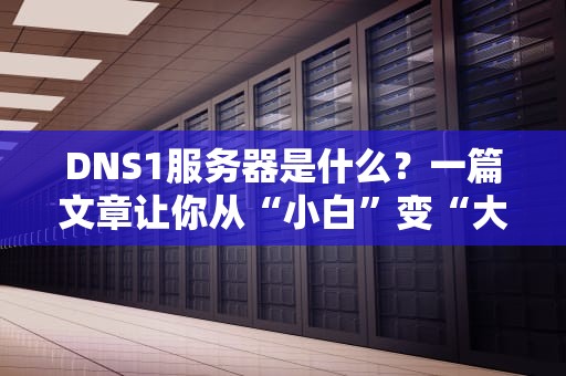 DNS1服务器是什么？一篇文章让你从“小白”变“大神”！