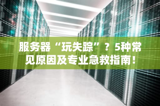服务器“玩失踪”？5种常见原因及专业急救指南！