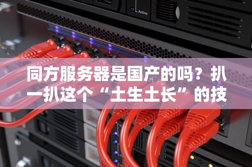 同方服务器是国产的吗？扒一扒这个“土生土长”的技术硬汉！