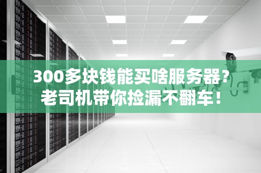 300多块钱能买啥服务器？老司机带你捡漏不翻车！