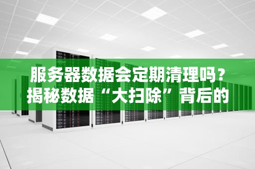 服务器数据会定期清理吗？揭秘数据“大扫除”背后的秘密！