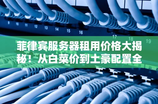 菲律宾服务器租用价格大揭秘！从白菜价到土豪配置全解析