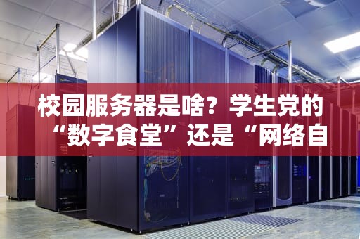校园服务器是啥？学生党的“数字食堂”还是“网络自习室”？