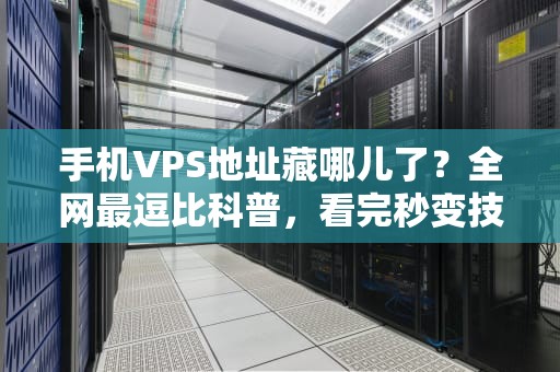 手机VPS地址藏哪儿了？全网最逗比科普，看完秒变技术老司机！