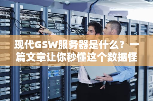 现代GSW服务器是什么？一篇文章让你秒懂这个数据怪兽！