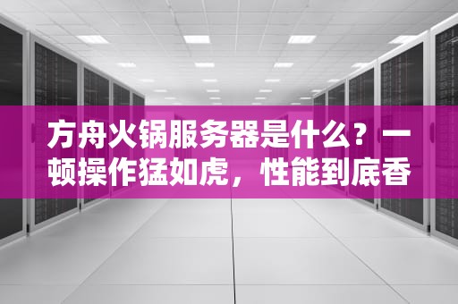 方舟火锅服务器是什么？一顿操作猛如虎，性能到底香不香？