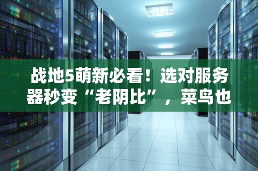 战地5萌新必看！选对服务器秒变“老阴比”，菜鸟也能横着走