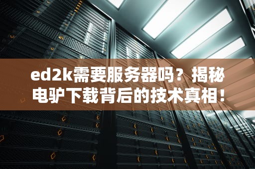 ed2k需要服务器吗？揭秘电驴下载背后的技术真相！