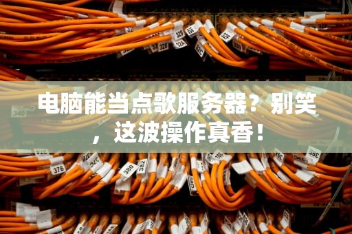 电脑能当点歌服务器？别笑，这波操作真香！