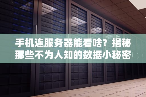 手机连服务器能看啥？揭秘那些不为人知的数据小秘密！