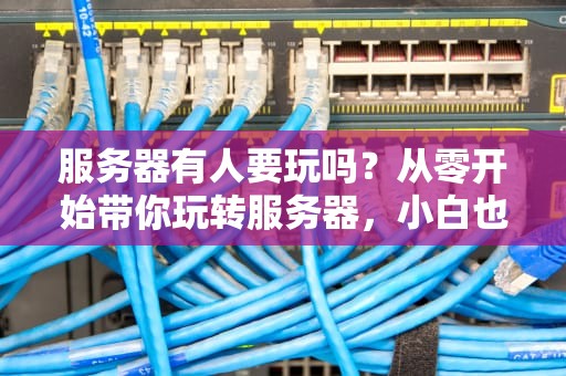 服务器有人要玩吗？从零开始带你玩转服务器，小白也能变大神！