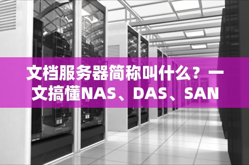 文档服务器简称叫什么？一文搞懂NAS、DAS、SAN的区别与选型指南！