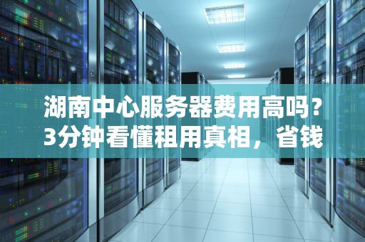 湖南中心服务器费用高吗？3分钟看懂租用真相，省钱攻略大公开！