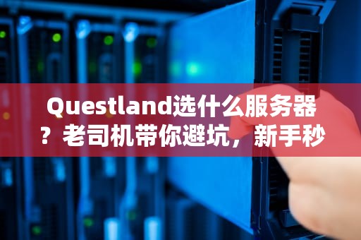Questland选什么服务器？老司机带你避坑，新手秒变高玩！