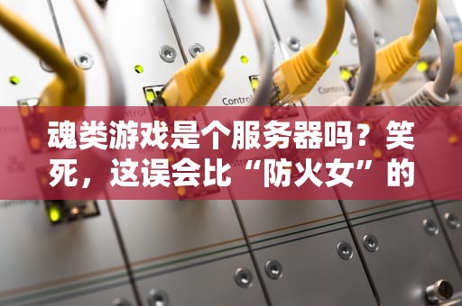 魂类游戏是个服务器吗？笑死，这误会比“防火女”的拥抱还温暖！