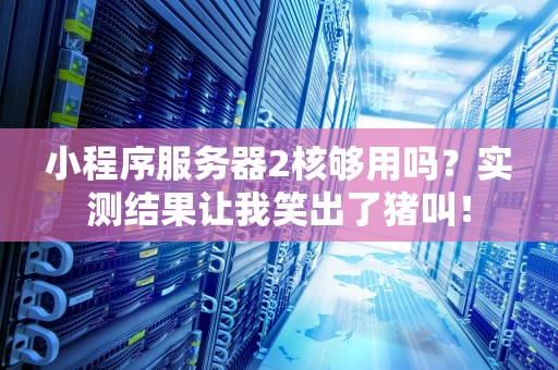 小程序服务器2核够用吗？实测结果让我笑出了猪叫！