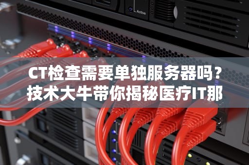 CT检查需要单独服务器吗？技术大牛带你揭秘医疗IT那些事儿！