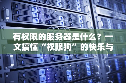 有权限的服务器是什么？一文搞懂“权限狗”的快乐与风险！