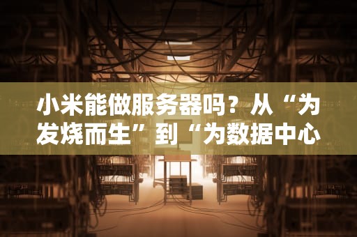 小米能做服务器吗？从“为发烧而生”到“为数据中心续命”的脑洞评测