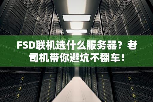 FSD联机选什么服务器？老司机带你避坑不翻车！