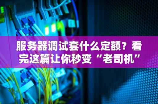 服务器调试套什么定额？看完这篇让你秒变“老司机”！