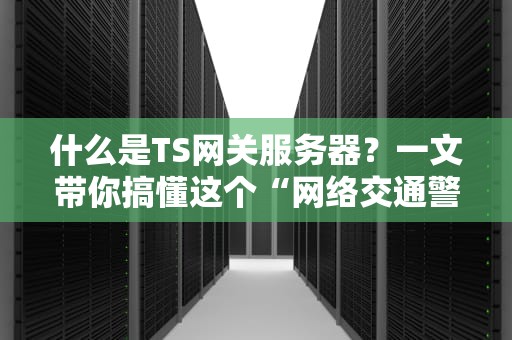 什么是TS网关服务器？一文带你搞懂这个“网络交通警察”