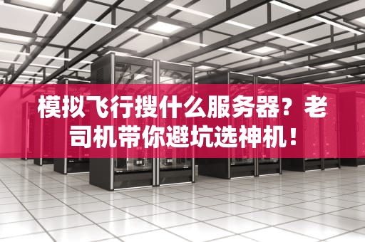 模拟飞行搜什么服务器？老司机带你避坑选神机！
