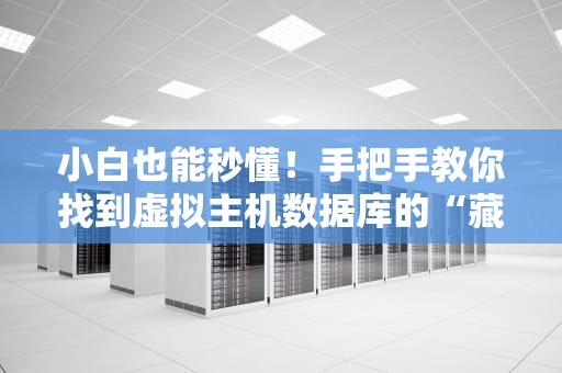 小白也能秒懂！手把手教你找到虚拟主机数据库的“藏宝图”