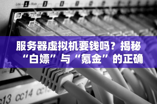 服务器虚拟机要钱吗？揭秘“白嫖”与“氪金”的正确姿势！
