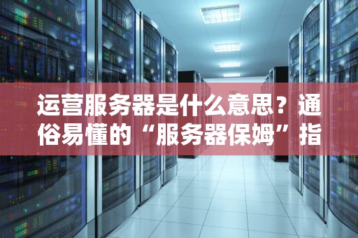 运营服务器是什么意思？通俗易懂的“服务器保姆”指南