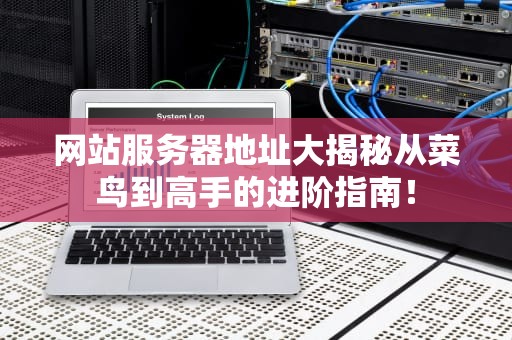 网站服务器地址大揭秘从菜鸟到高手的进阶指南！