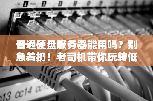普通硬盘服务器能用吗？别急着扔！老司机带你玩转低成本方案