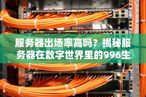 服务器出场率高吗？揭秘服务器在数字世界里的996生活！