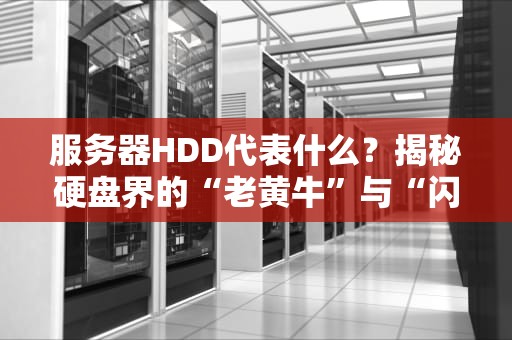 服务器HDD代表什么？揭秘硬盘界的“老黄牛”与“闪电侠”之争！