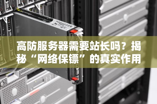 高防服务器需要站长吗？揭秘“网络保镖”的真实作用！