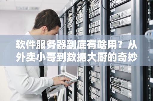 软件服务器到底有啥用？从外卖小哥到数据大厨的奇妙变身！