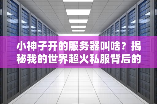 小神子开的服务器叫啥？揭秘我的世界超火私服背后的技术内幕！