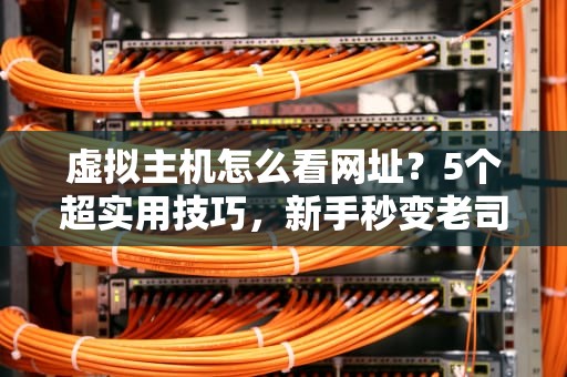 虚拟主机怎么看网址？5个超实用技巧，新手秒变老司机！