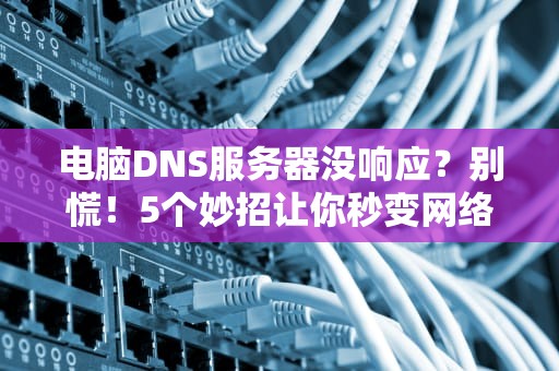 电脑DNS服务器没响应？别慌！5个妙招让你秒变网络侦探