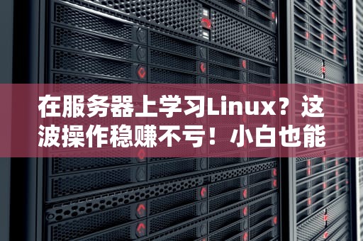 在服务器上学习Linux？这波操作稳赚不亏！小白也能变大神