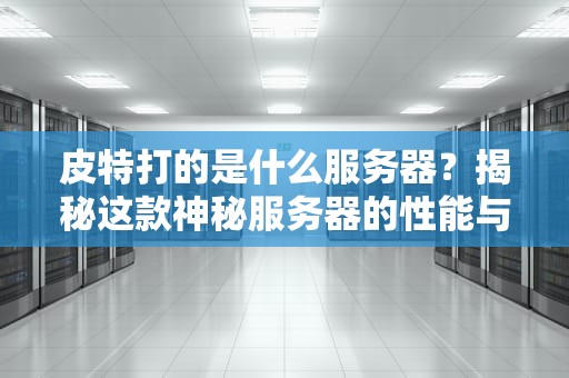 皮特打的是什么服务器？揭秘这款神秘服务器的性能与性价比！