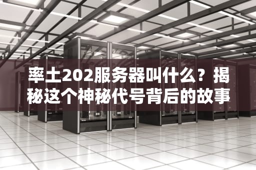 率土202服务器叫什么？揭秘这个神秘代号背后的故事！