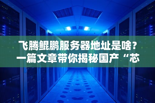 飞腾鲲鹏服务器地址是啥？一篇文章带你揭秘国产“芯”力量！