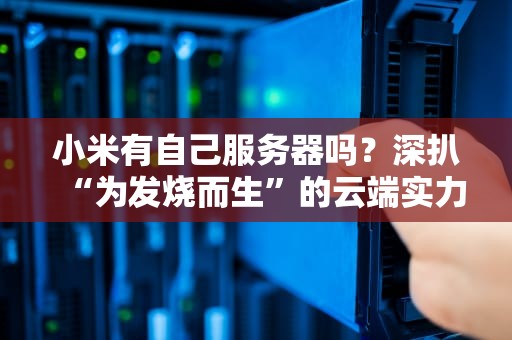 小米有自己服务器吗？深扒“为发烧而生”的云端实力！